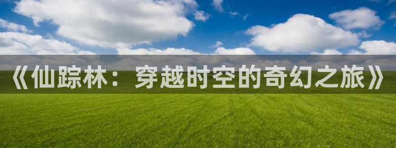 麻豆影业：《仙踪林：穿越时空的奇幻之旅》