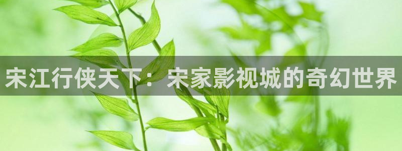奇米影麻豆：宋江行侠天下：宋家影视城的奇幻世界
