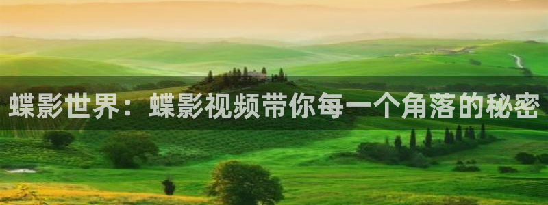 麻豆午夜在线电影：蝶影世界：蝶影视频带你每一个角落的秘密